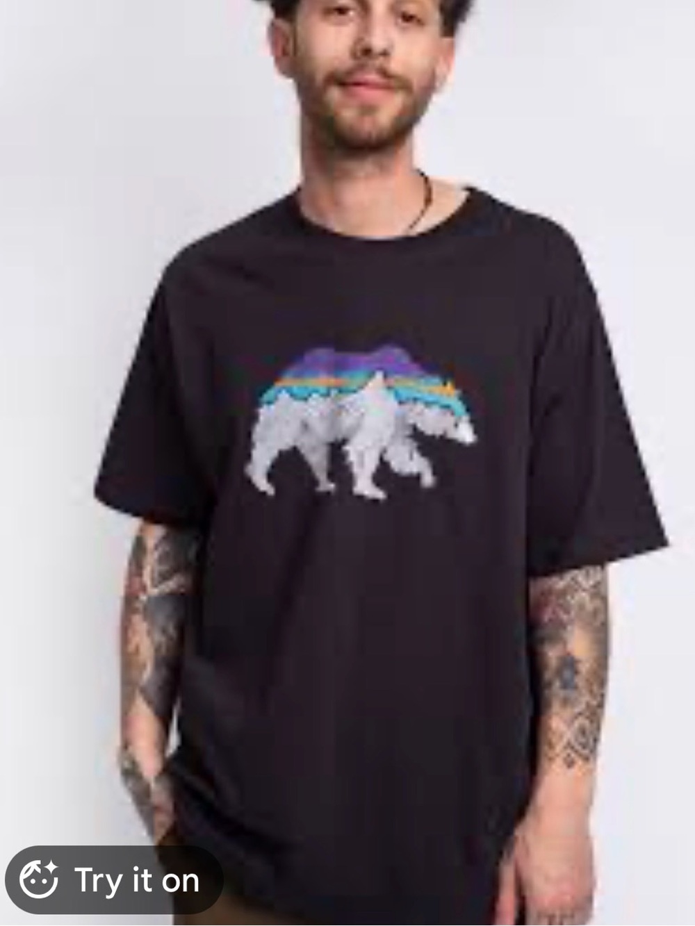 Patagonia  men’s organic t shirt